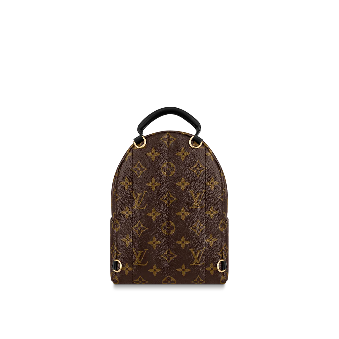 Louis Vuitton Palm Springs Mini Bagpack Replica